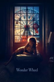 Nonton Wonder Wheel 2017