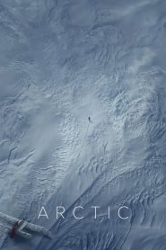 Nonton Arctic 2018