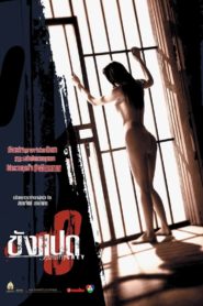 Nonton Butterfly in Grey 2002